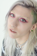 DSC 5469